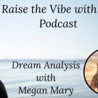 Guest Appearance: Raise the Vibe with Liz