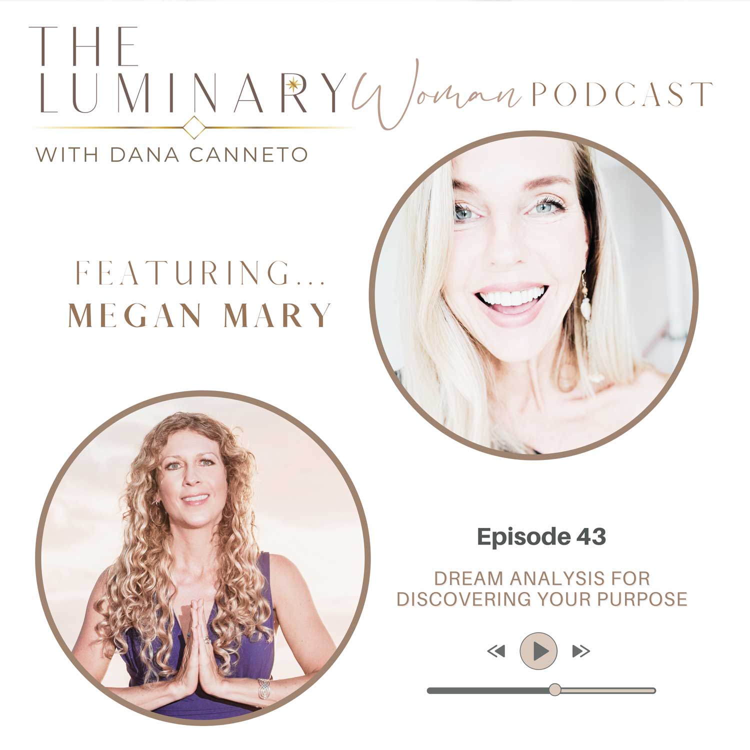 Guest Appearance: The Luminary Woman Podcast